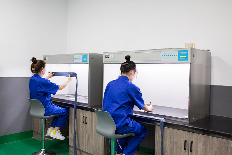 Qualitas Inspectionis